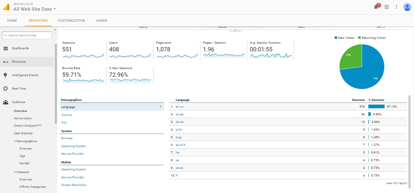 Visitor Analysis Report